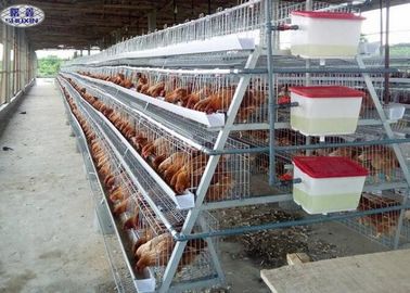 Γαλβανισμένα κλουβιά 4 σειρές 128 ωοτόκων ορνίθων αυτόματο σύστημα ικανότητας πουλιών
