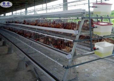 Ανθεκτικά κλουβιά κοτόπουλου πουλερικών, αυτοματοποιημένη πιστοποίηση CE κλουβιών πουλερικών