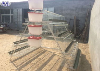 Γαλβανισμένα κλουβιά 96 κοτόπουλου πουλερικών καυτής εμβύθισης ικανότητα πουλιών 3 έτη εξουσιοδότησης