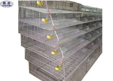 Ενωμένη στενά πιστοποίηση CE κλουβιών στρώματος πουλερικών κλουβιών ωοτοκίας ορτυκιών πλέγματος/ορτυκιών