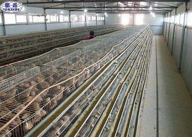 Απλό κλουβί ωοτοκίας ορτυκιών Q235 800 πουλιών χρησιμοποιώντας ζωή εργασίας ικανότητας μακριά