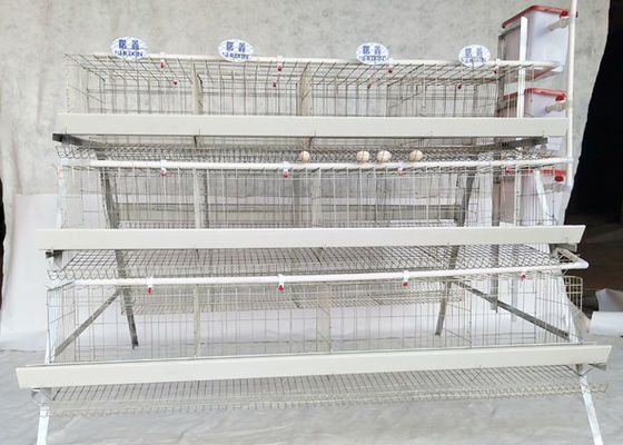 COC δακτυλογραφεί ένα αυτόματο κλουβί χάλυβα κοτόπουλου στρώματος Hdg αυγών