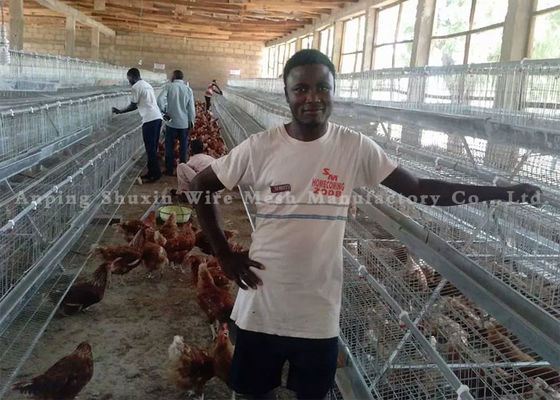 Καλλιέργεια πουλερικών ένα πιστοποιητικό CE κλουβιών κοτόπουλου στρώματος μπαταριών Q235 τύπων