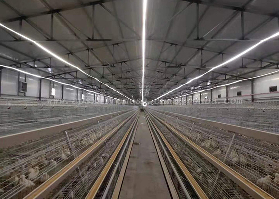Γαλβανισμένα πουλερικά αυτόματο σύστημα κλουβιών κοτόπουλου στρώματος 3/4 σειρές