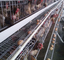 Γαλβανισμένο θερμοκήπιο κοτόπουλου φαρμάτων πουλερικών αυγών κλουβιών στρώματος 4 σειρών