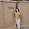 Γαλβανισμένο στρατιωτικό φράγμα εν θερμώ για τοίχωμα με πλέγμα ασφαλείας