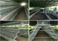Κλουβί 160 αυτόματο σίτισης κοτόπουλων ωοτόκων ορνίθων αγροτικών πουλερικών