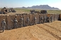 Βαρέων καθηκόντων αμυντικά Sandbags εμποδίων Mil 10 Mil 3 Hesco εμπόδια για τη σειρά πυροβολισμού