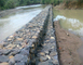 Ζεστή πώληση Ζεστή βύθιση Ζαλβανισμένο Gabion καλάθι πέτρα για την προστασία στις Φιλιππίνες, Μαλαισία, Ινδονησία