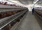 Αβγό PVOC στρώμα Κλουβιά κοτόπουλου για 2000 πουλιά Κατασκευή εκτροφής πουλερικών