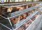 Ενωμένα στενά κλουβιά κοτόπουλου πουλερικών, καυτά βυθισμένα γαλβανισμένα κλουβιά κοτόπουλου καλωδίων