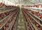 Q235 κλουβί κοτόπουλου στρώματος πλέγματος χαλύβδινων συρμάτων χαμηλού άνθρακα για την καλλιέργεια πουλερικών