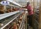 Γαλβανισμένο κλουβί 10000 κοτόπουλου στρώματος τύπων μπαταριών Χ χρήση φαρμάτων πουλερικών πουλιών