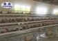 Γαλβανισμένο κλουβί 10000 κοτόπουλου στρώματος τύπων μπαταριών Χ χρήση φαρμάτων πουλερικών πουλιών