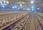 A / Κλουβί κοτόπουλου στρώματος τύπων Χ με το αυτόματο σύστημα για τον εξοπλισμό καλλιέργειας πουλερικών