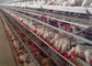 Αυτόματες 4 σειρές 128 κλουβιά κοτόπουλου πουλερικών πουλιών