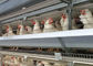 Ένας τύπος 96 αυγό κοτών πουλιών που βάζει το γαλβανισμένο κλουβί για την καλλιέργεια στρώματος