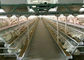 Αυτόματα κλουβιά κοτόπουλου αγροτικών Q235 πουλερικών μπαταριών