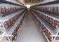 Γαλβανισμένα αυτόματα κλουβιά αναπαραγωγής κοτόπουλου καλλιέργειας Q235