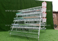 Αυτόματο σύστημα 96 αγροτικός εξοπλισμός στρώματος αυγών κλουβιών κοτόπουλου πουλερικών
