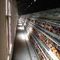 Εμπορικό ζωικό αυτόματο κλουβί στρώματος κοτόπουλου για τον εξοπλισμό φαρμάτων πουλερικών