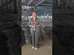 Εργαστήριο Αόρατης Διάταξης