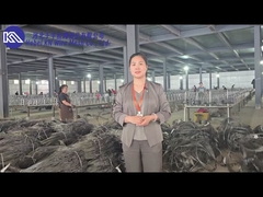 Παρουσίαση και επίδειξη του εργαστηρίου των δικτύων αντιτραπεζικών φραγμών