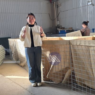 Defensive Barrier Galvanized Welded Mesh 5mm Wire 300 Gsm Geotextile Lined Earth Filled Military Gabion Box for Army Bunkers