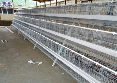 3 μακράς διαρκείας χρόνος σχεδίου κλουβιών κοτόπουλου στρώματος/κλουβιών καλλιέργειας πουλερικών στρώματος