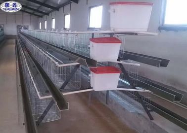 Γαλβανισμένο κλουβί αυγών κοτόπουλου πλέγματος καλωδίων για την αγροτική PVOC πιστοποίηση κοτόπουλου