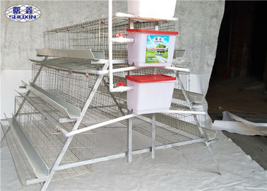 Φάρμα πουλερικών 4 κλουβί κοτόπουλου στρώματος σειρών με τους τροφοδότες και το υδάτινο σύστημα