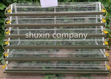 Εμπορικό κλουβί ορτυκιών στρώματος πλέγματος καλωδίων για τα ορτύκια που καλλιεργούν το μήκος 1.8m