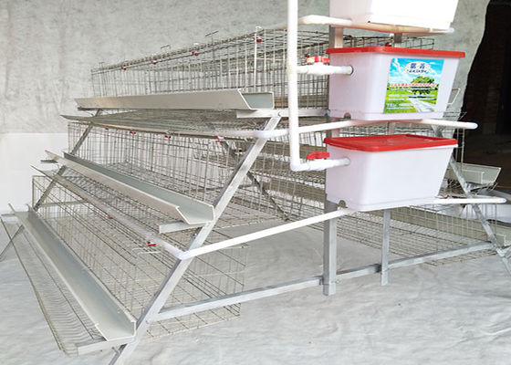 Η καυτή εμβύθιση το PVC κλουβιών κοτόπουλου πουλερικών ικανότητας 96 πουλιών που ντύθηκε γαλβάνισε