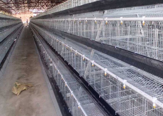 Η μπαταρία γαλβάνισε τα αυτόματα κλουβιά κοτόπουλου πουλερικών στρώματος COC κοτών