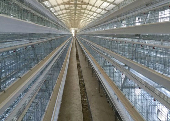 Καυτά γαλβανισμένα αντι διαβρωτικά κλουβιά κοτόπουλου πουλερικών PVOC