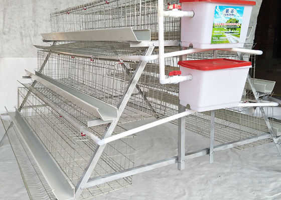 Αγρόκτημα σπιτιών πουλερικών κλουβιών κοτόπουλου χάλυβα κοτών μπαταριών 3tiers
