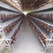 Φάρμα πουλερικών 5 κλουβί 250 κοτόπουλου στρώματος σειρών ζωική μπαταρία πουλιών