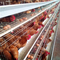 Q235 γαλβανισμένο κλουβί 128 κοτόπουλου στρώματος αυγών πουλερικών χαλύβδινων συρμάτων κοτόπουλα