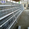Αυτόματη Πτηνοτροφεία Αβγών Κλουβί κοτόπουλου τύπου H Battery Layer