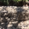 En10223-3 τυποποιημένος Gabion καυτός κλουβιών καλαθιών πλέγματος της Ευρώπης που βυθίζεται γαλβανισμένος