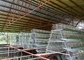 3 σειρές 4 δωμάτια 500-1000 κλουβιά αναπαραγωγής κοτόπουλου πουλιών για τα φιλιππινέζικα αγροκτήματα