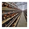 Ζυγισμένο χάλυβα Κοτόπουλο που γεννάει αυγά Κλουβί Μεγάλη χωρητικότητα 96-160 Κοτόπουλα