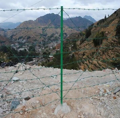 Ασφάλεια φράχτη φράχτη φράχτη φράχτη φράχτη φράχτη φράχτη φράχτη φράχτη φράχτη φράχτη φράχτη συρματόπλεγμα φράχτες συρματόπλεγμα γαλβανισμένο φράχτη φράχτη φράχτη φράχτη συρματόπλεγμα κυλίνδρους για βοοειδή