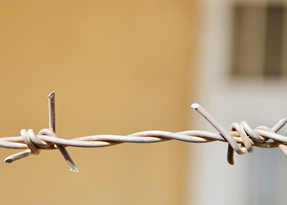 Χρήση Τειχών Φυλακής Διπλό Στρογγυλοποιημένα Ζεστά Βυθισμένα Ζυγισμένα Σκληρά Σύρμα