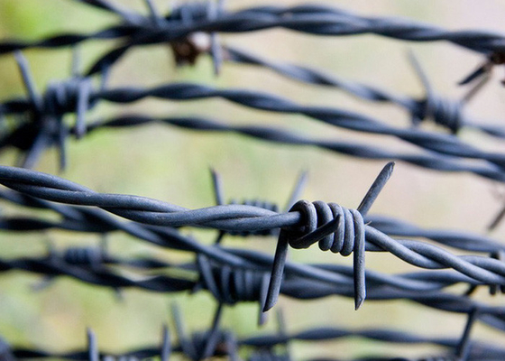 Ζεστό βουτηγμένο γαλβανισμένο συρματόπλεγμα ασφαλείας Μεγάλης διαμέτρου συρματόπλεγμα για ασφαλή όρια