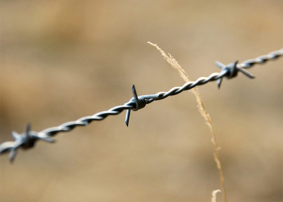Προστασία γεωργικών εκμεταλλεύσεων Διπλό στρογγυλοποιημένο ζεστό βουτηγμένο γαλβανισμένο συρματόπλεγμα