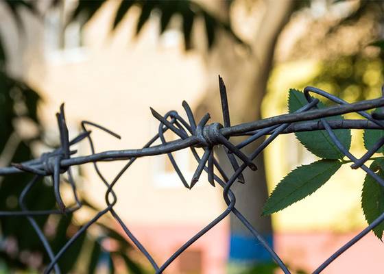 Εύκολο και εύχρηστο για συντήρηση συρματόπλεγμα για ανάγκες ασφαλείας