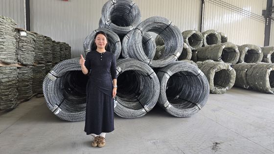 China Supplier Hot Dipped Galvanized BTO22 Flat Wrap Razor Barbed Wire As Protect Fence