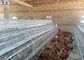 Κλουβί κοτόπουλου στρώματος αυγών, κλουβί κοτόπουλου μετάλλων πουλερικών κοτών για την Κένυα