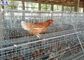 Μεγάλα κλουβιά κοτόπουλου πουλερικών, γαλβανισμένη σχέδιο επιφάνεια κλουβιών στρώματος πουλερικών